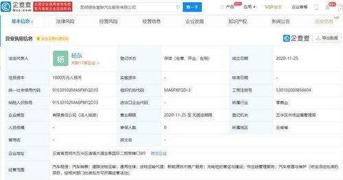 吉利新成立8家公司，聚焦網絡與信息安全軟件開發